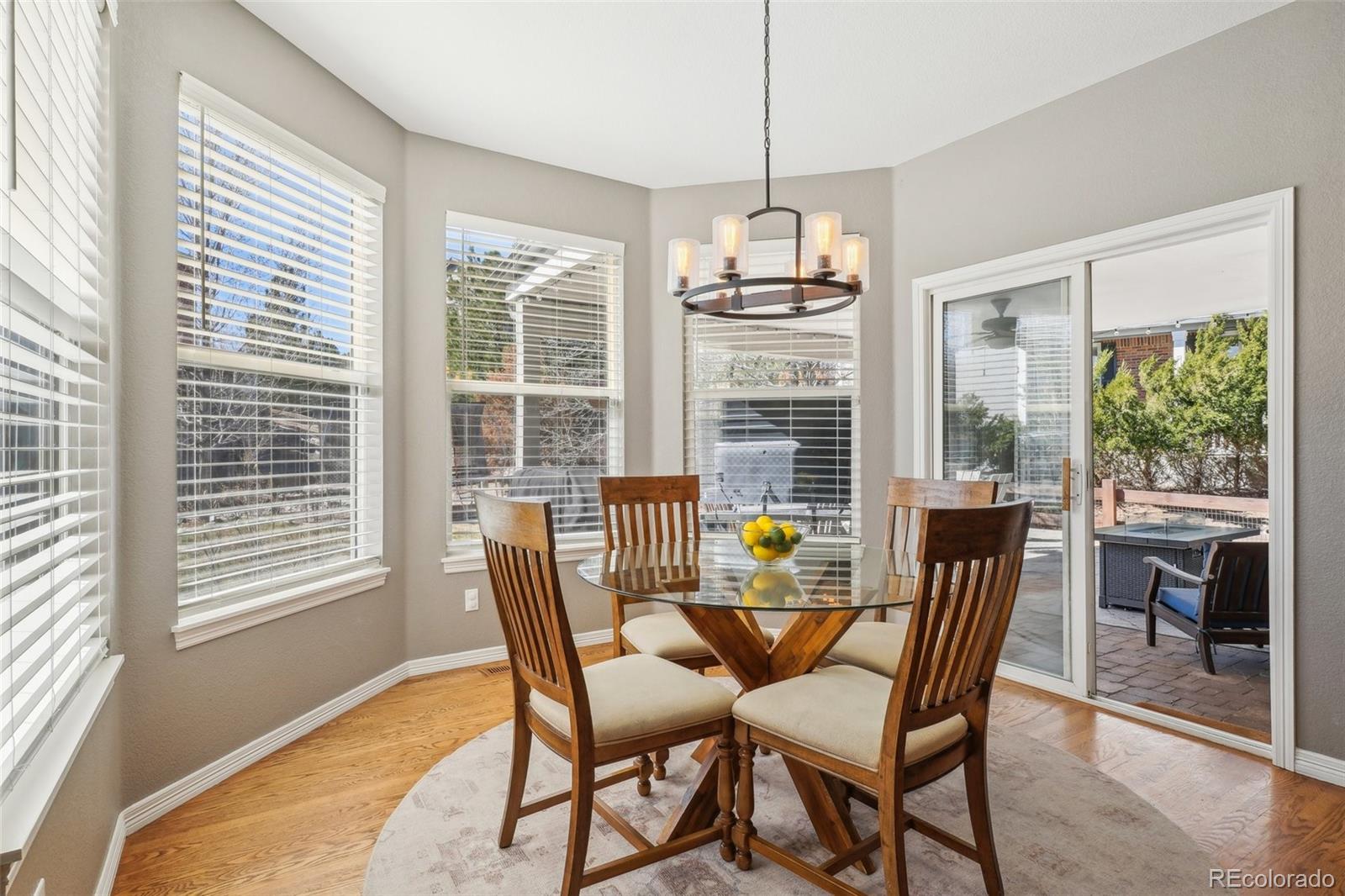 MLS Image #10 for 532  adam place,castle pines, Colorado