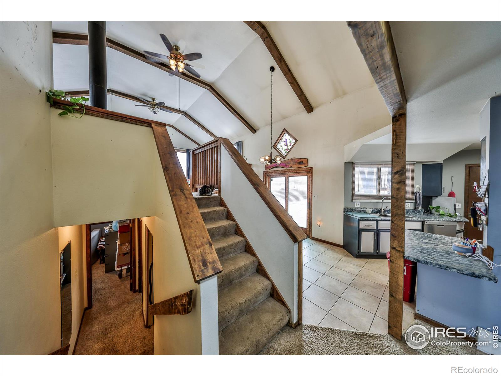MLS Image #8 for 692  mckinley street,walden, Colorado