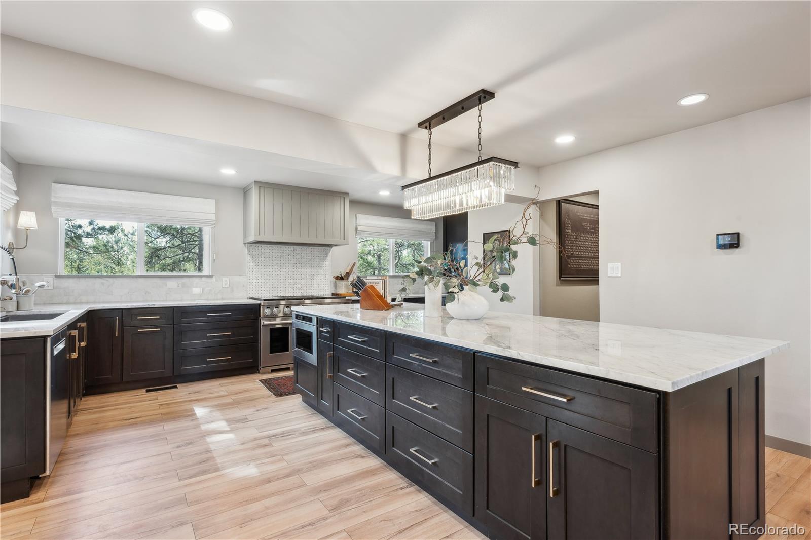 MLS Image #3 for 1322  tomichi drive,franktown, Colorado