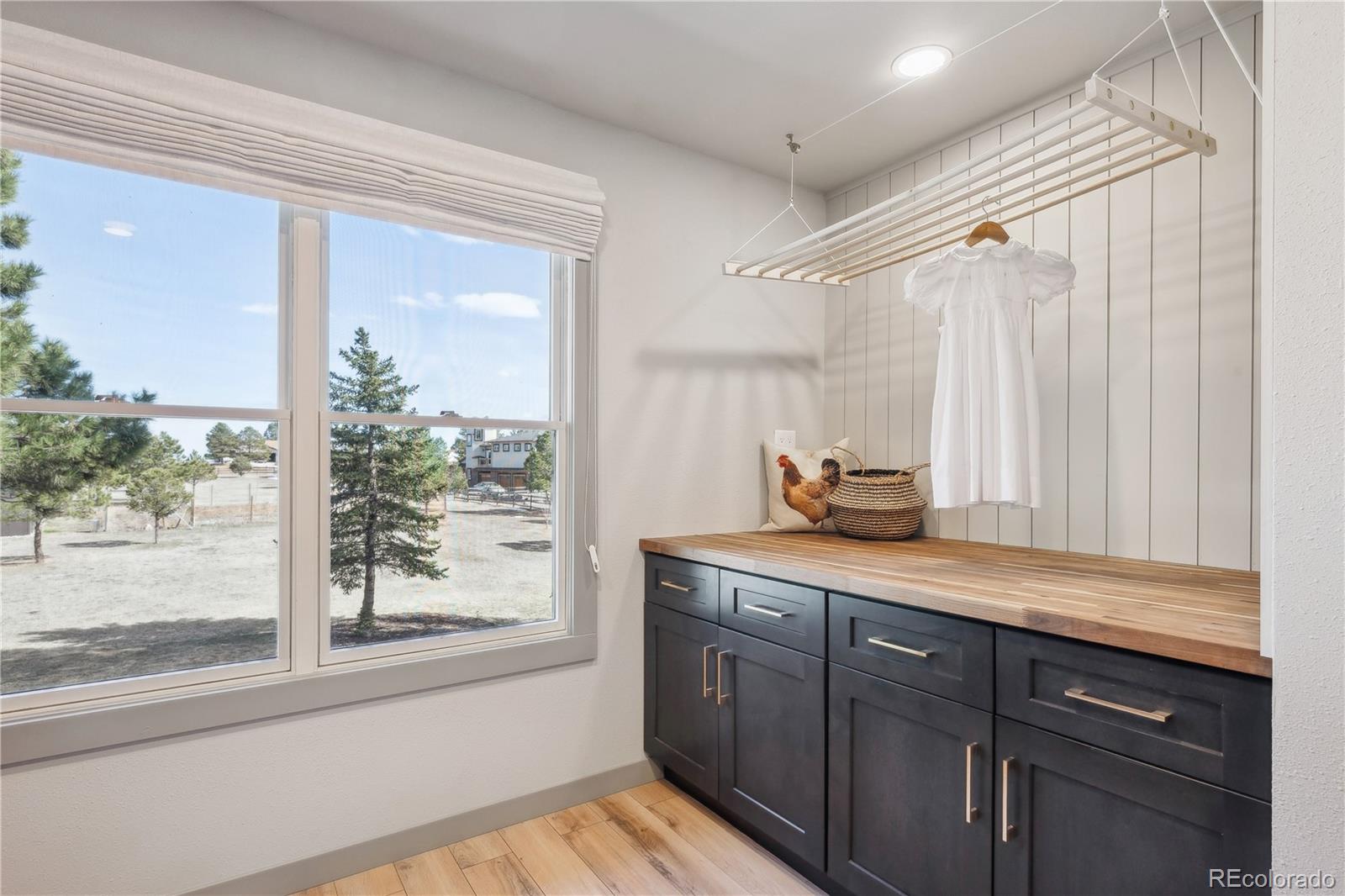 MLS Image #33 for 1322  tomichi drive,franktown, Colorado