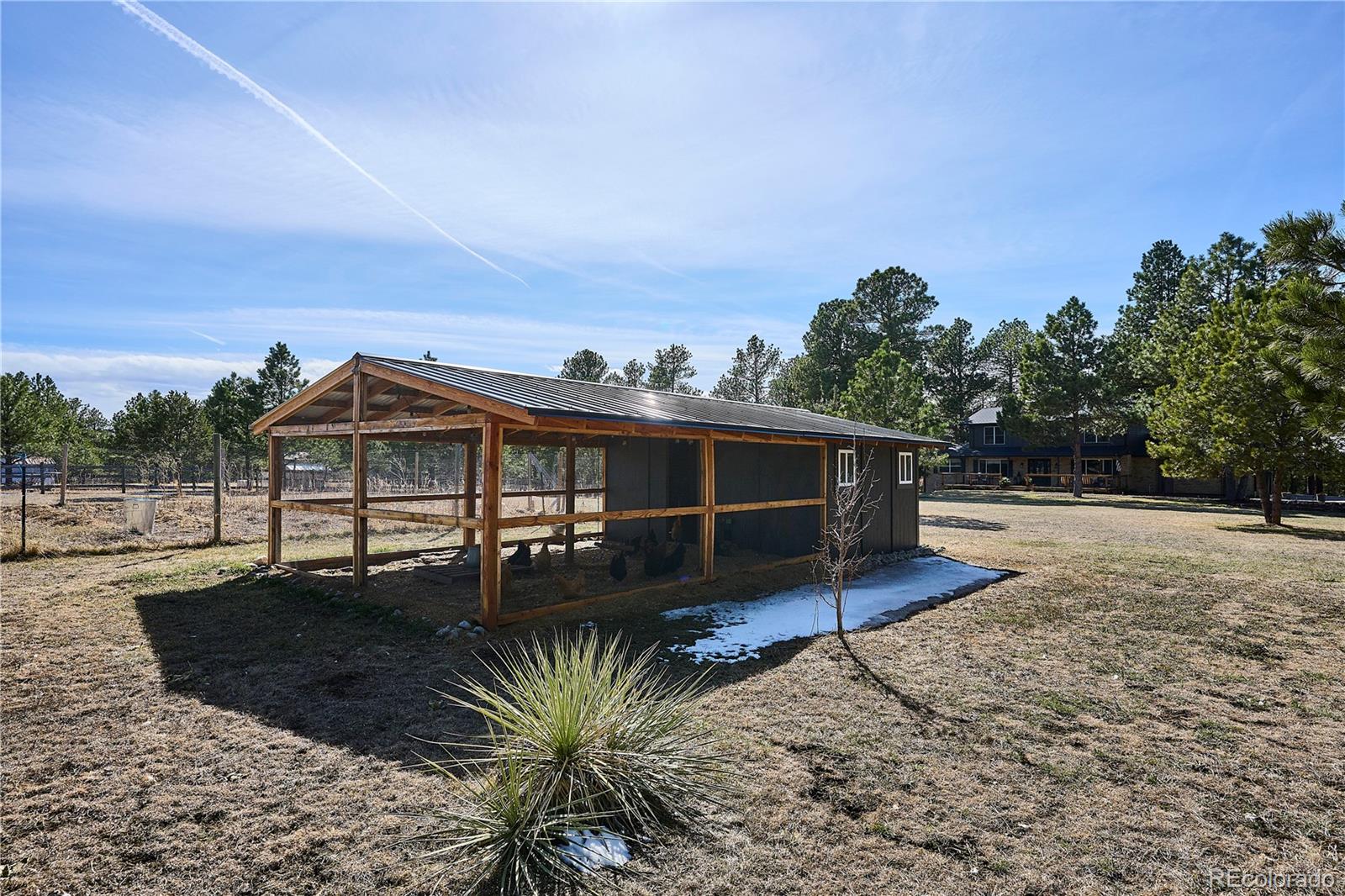 MLS Image #45 for 1322  tomichi drive,franktown, Colorado