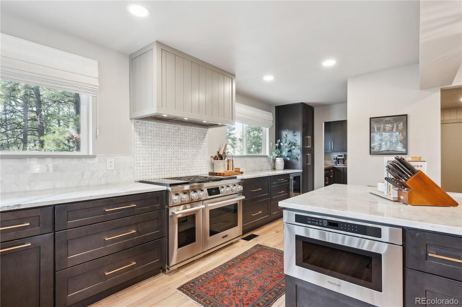 MLS Image #6 for 1322  tomichi drive,franktown, Colorado