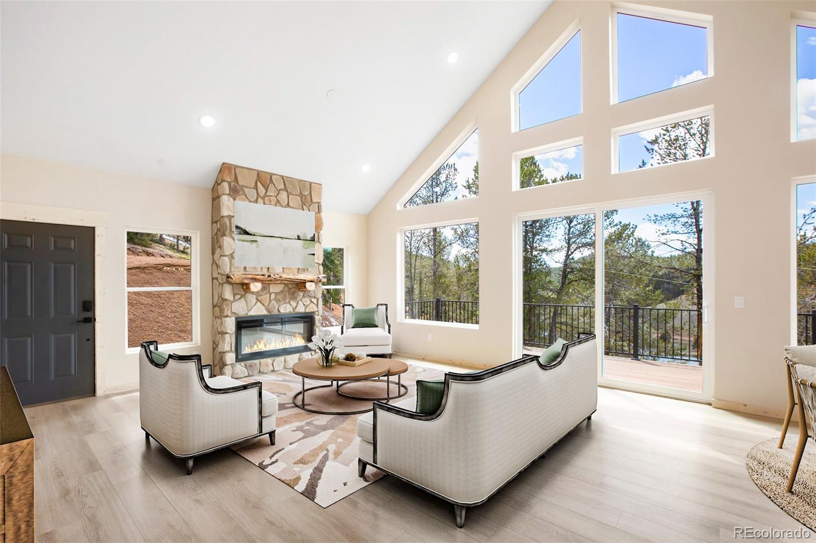 MLS Image #4 for 198  timber ridge road,divide, Colorado