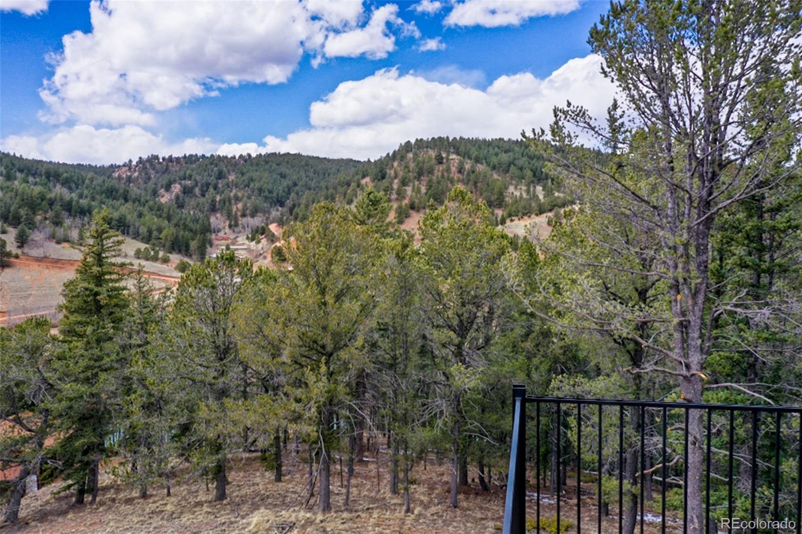 MLS Image #49 for 198  timber ridge road,divide, Colorado