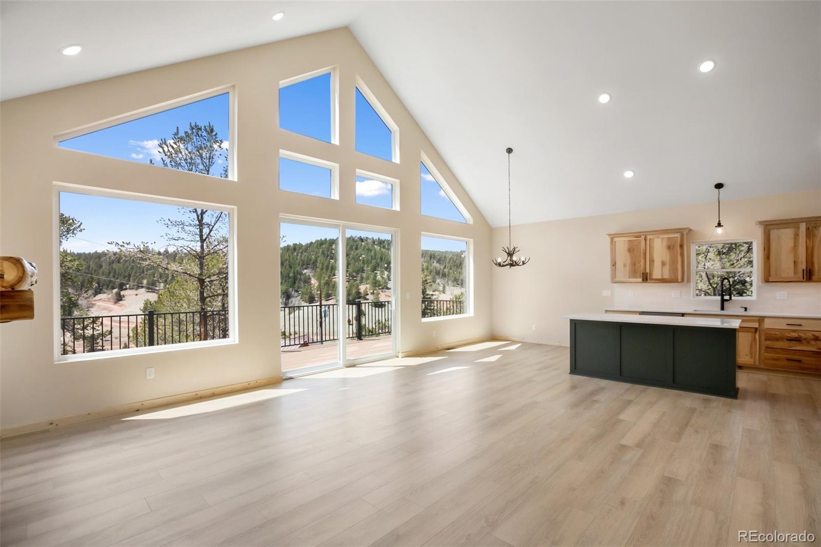 MLS Image #9 for 198  timber ridge road,divide, Colorado