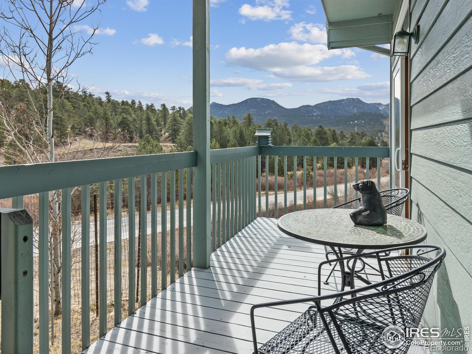 MLS Image #20 for 1861  raven avenue,estes park, Colorado