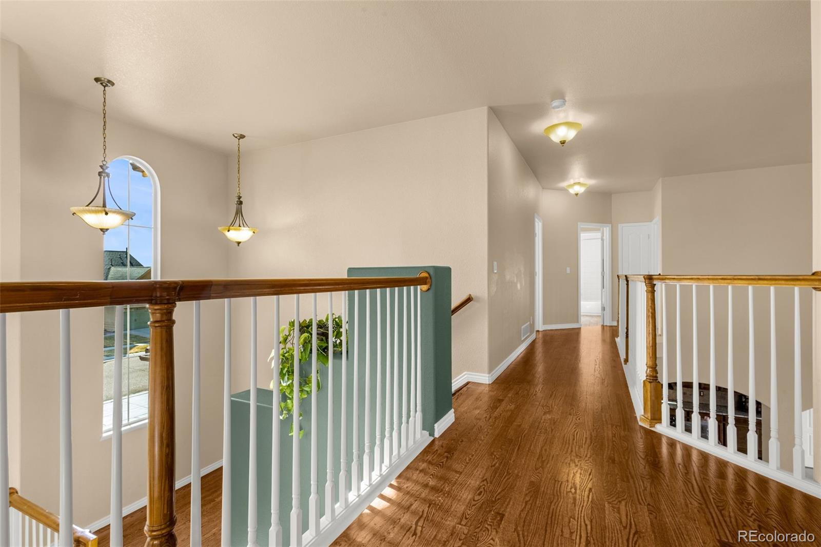 MLS Image #13 for 7140  midnight rose drive,colorado springs, Colorado