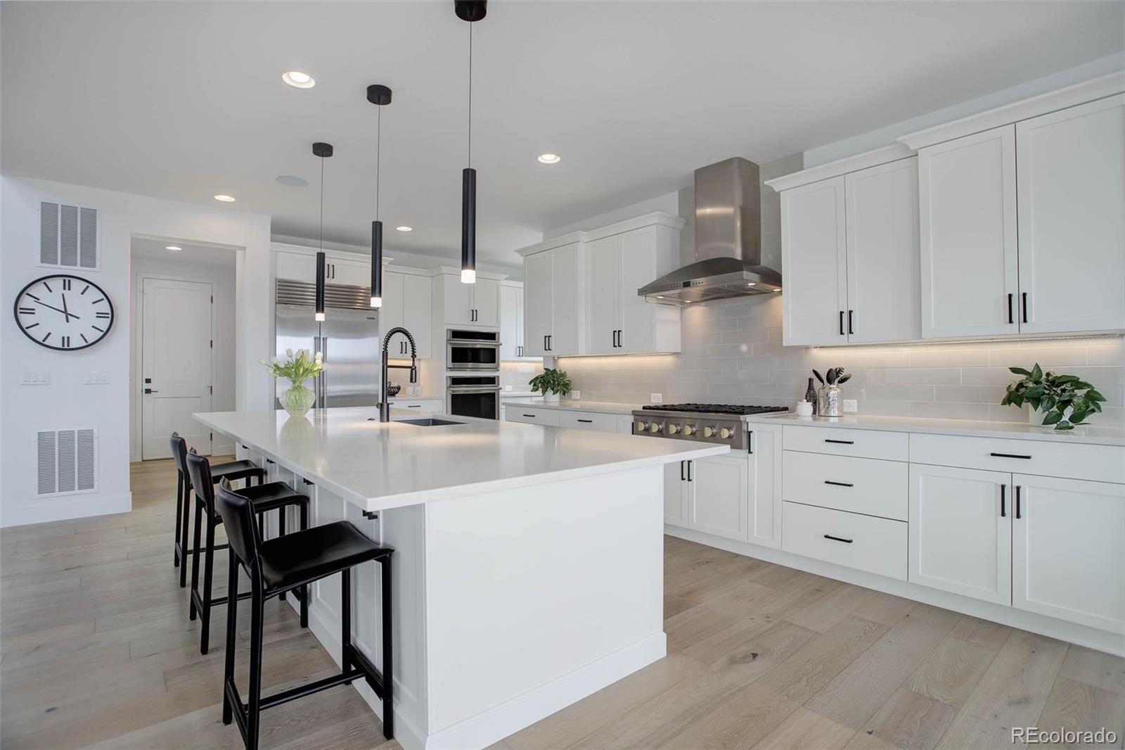MLS Image #9 for 6977  copper sky circle,castle pines, Colorado
