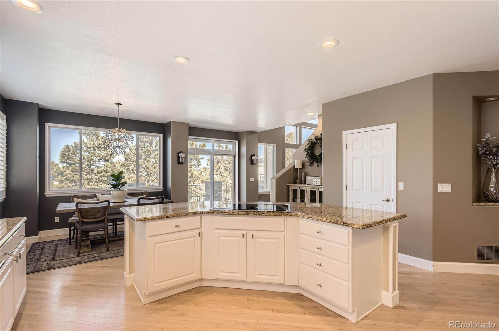 MLS Image #14 for 10337  carriage club drive,lone tree, Colorado