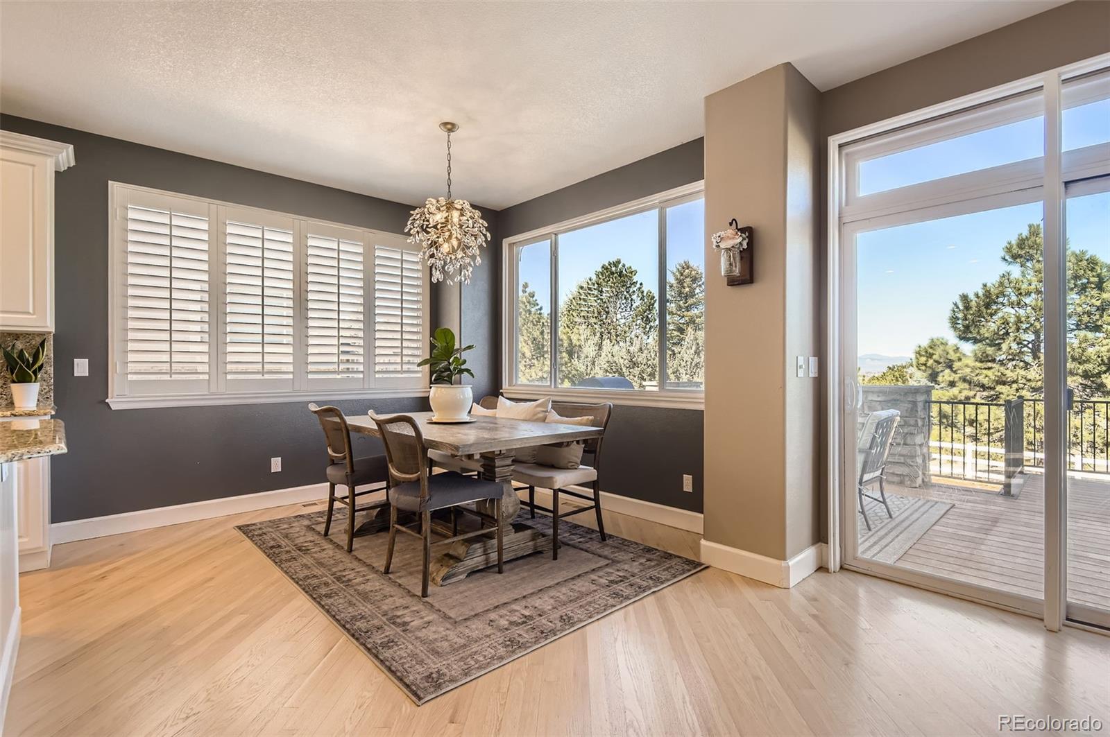MLS Image #16 for 10337  carriage club drive,lone tree, Colorado