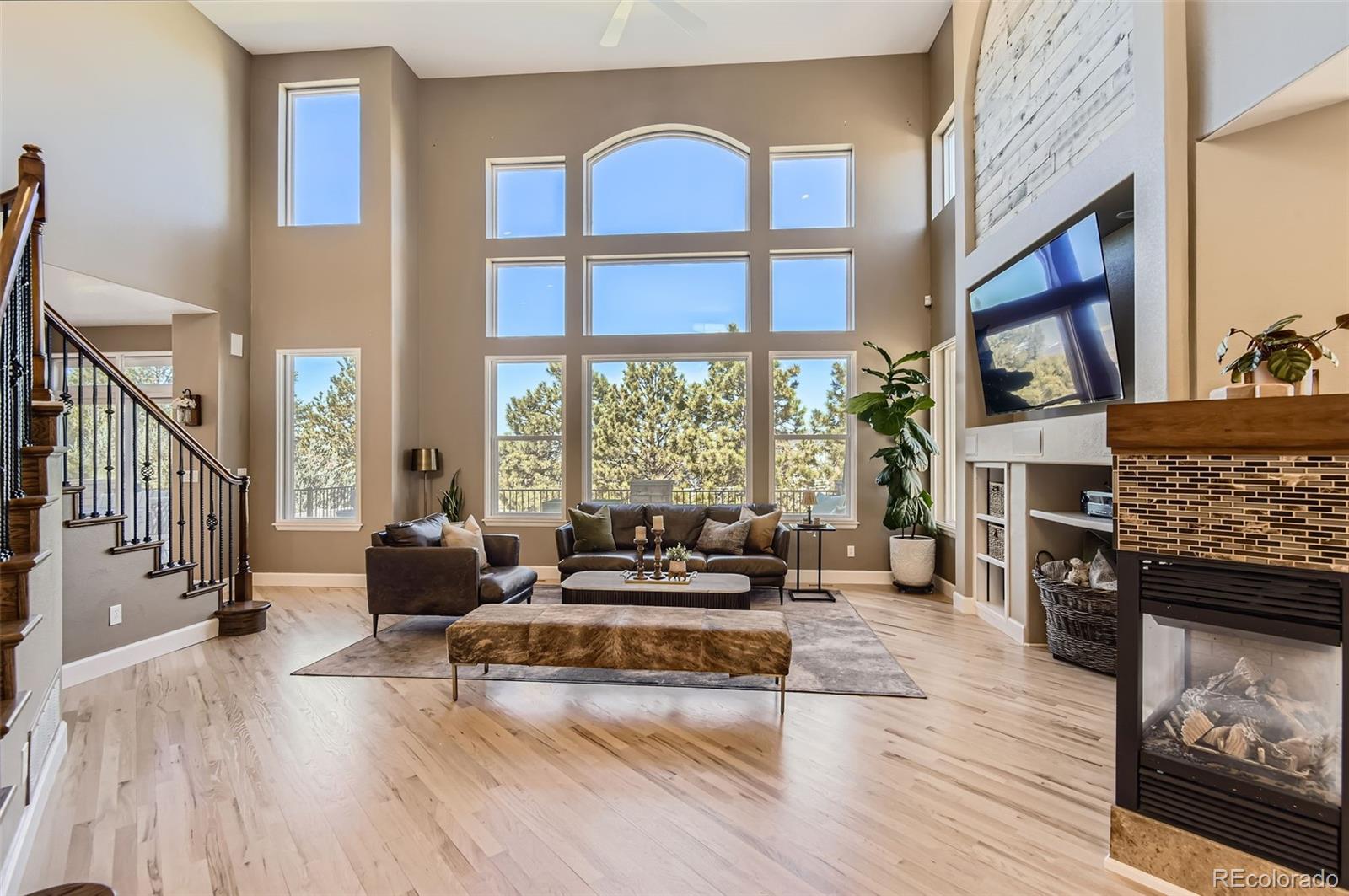 MLS Image #7 for 10337  carriage club drive,lone tree, Colorado
