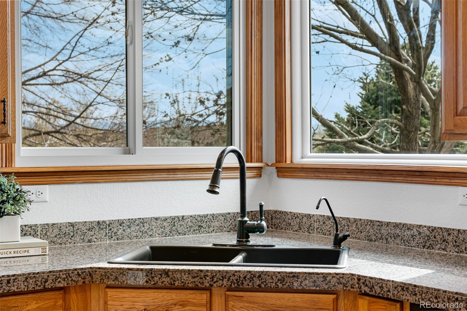 MLS Image #11 for 10047  sylvestor road,highlands ranch, Colorado