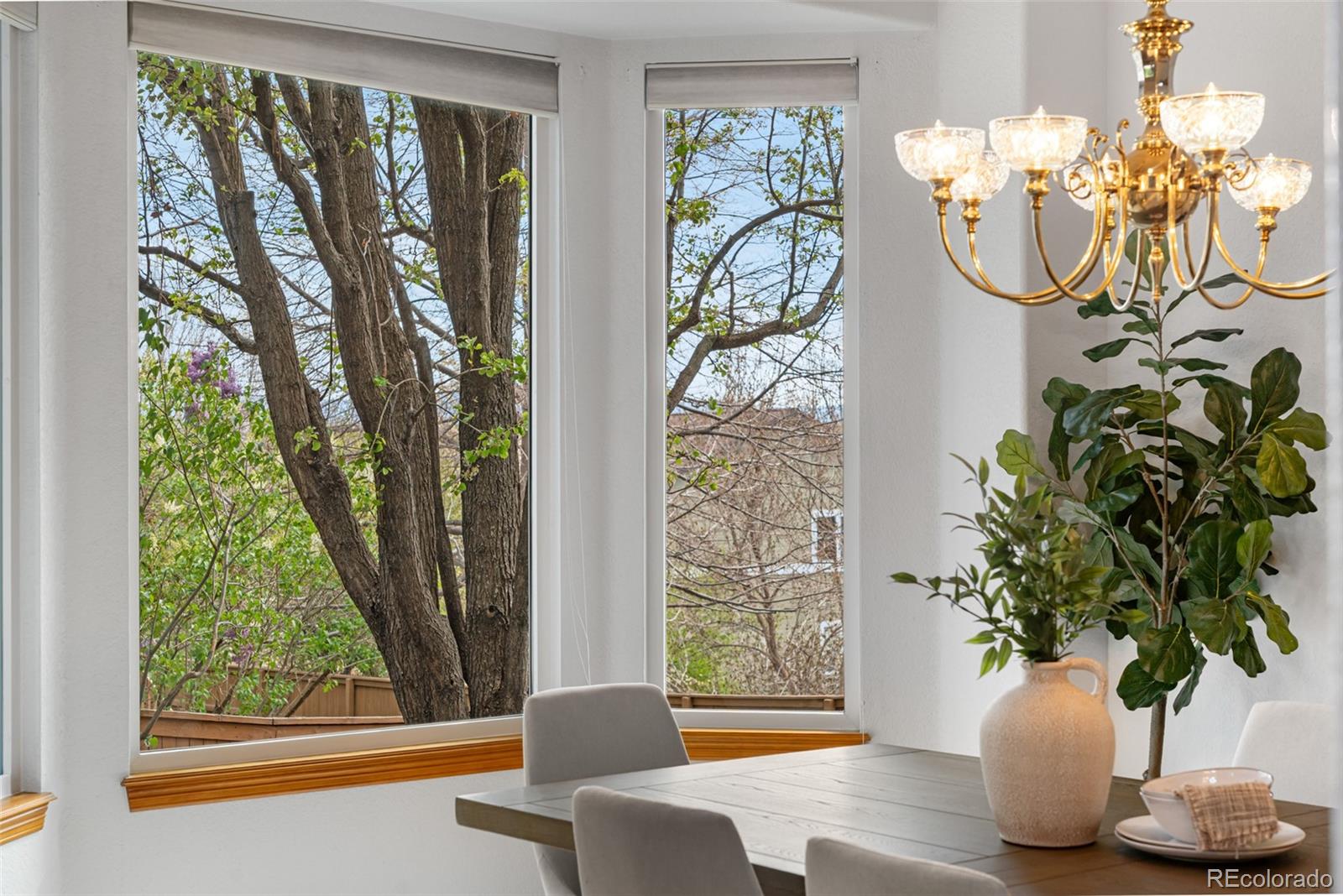 MLS Image #12 for 10047  sylvestor road,highlands ranch, Colorado