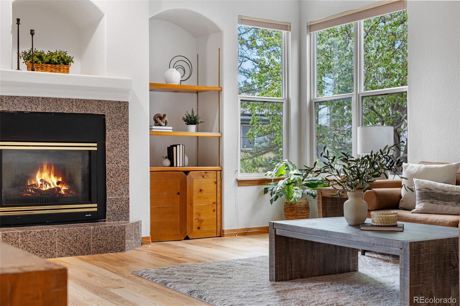 MLS Image #18 for 10047  sylvestor road,highlands ranch, Colorado