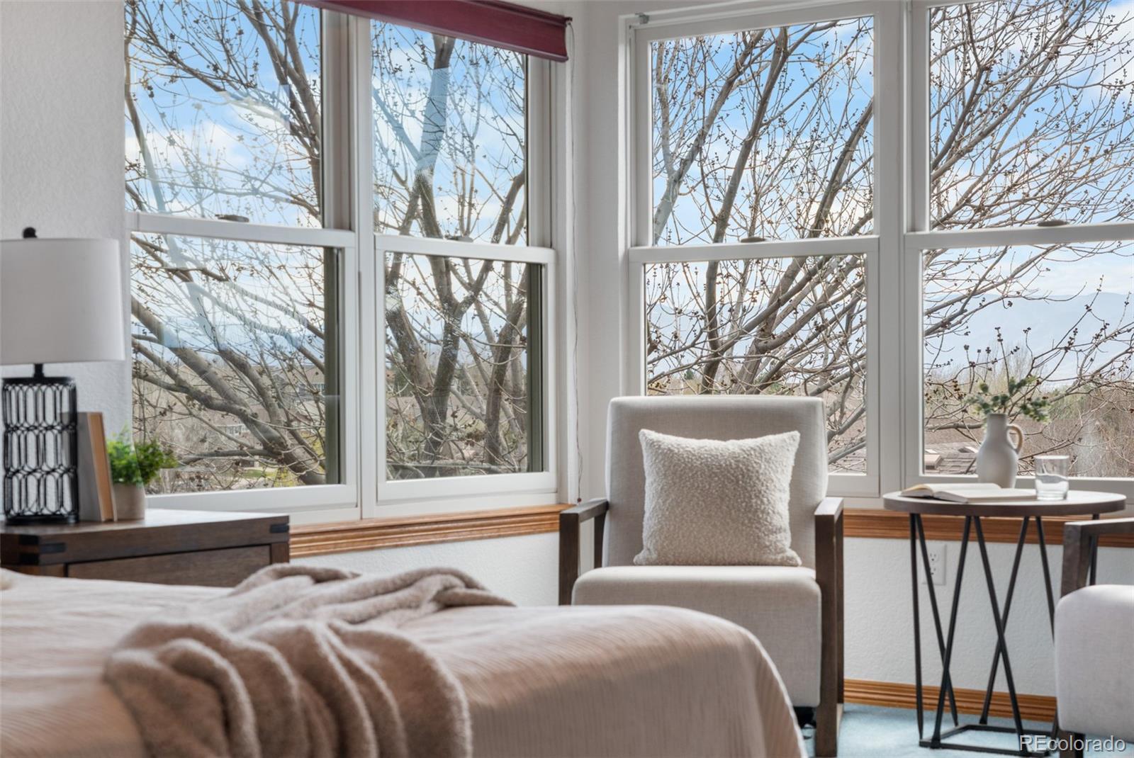 MLS Image #22 for 10047  sylvestor road,highlands ranch, Colorado