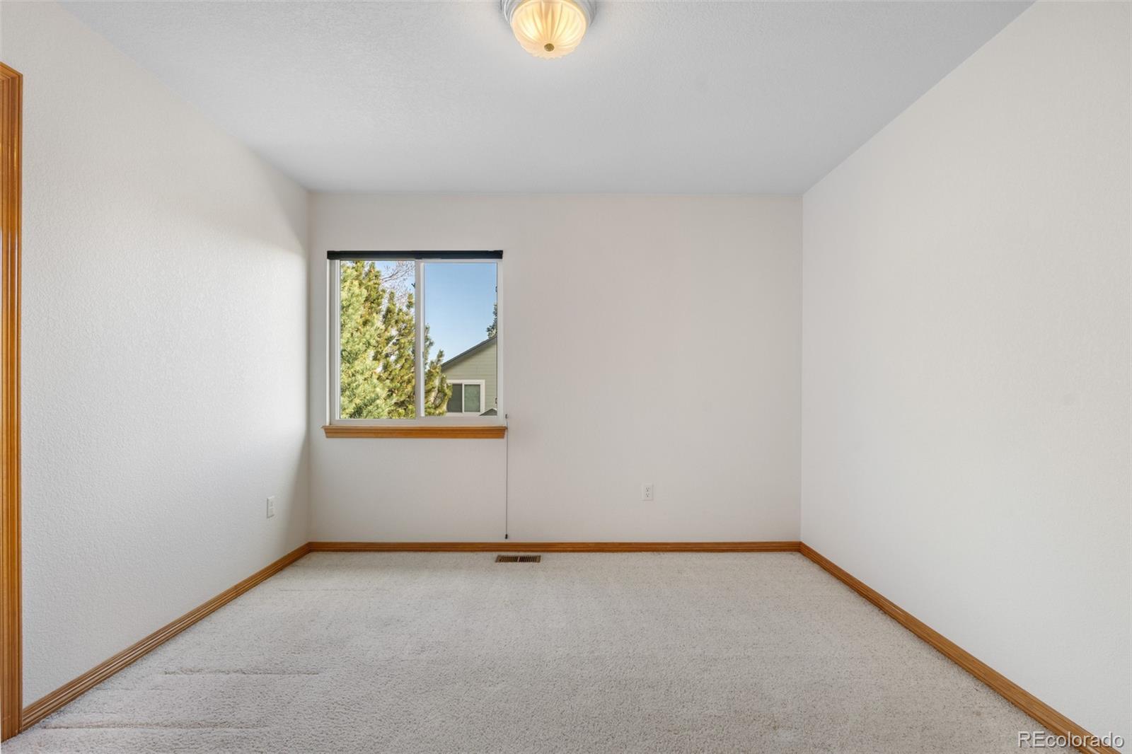 MLS Image #28 for 10047  sylvestor road,highlands ranch, Colorado