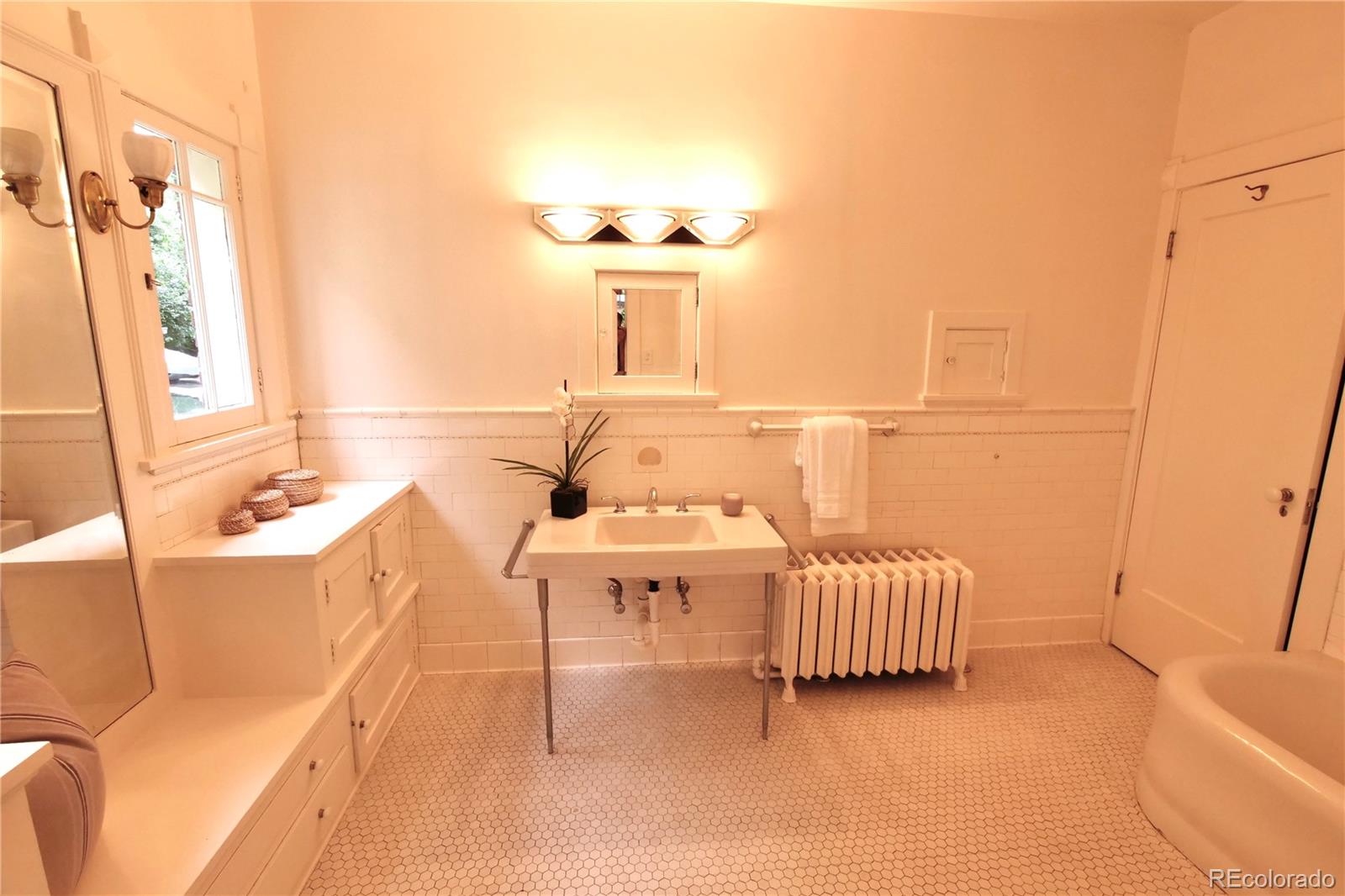MLS Image #21 for 723  steele street,denver, Colorado