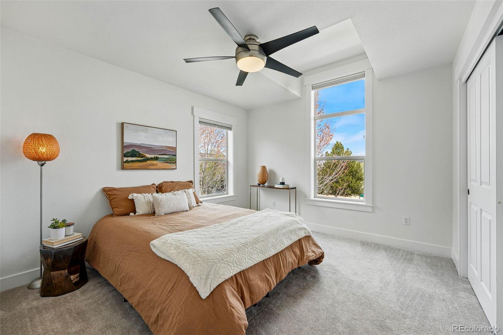 MLS Image #30 for 9826 e 27th drive,denver, Colorado