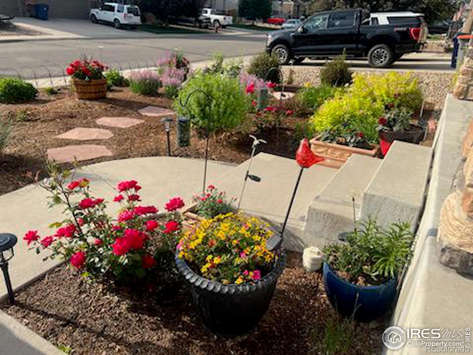 MLS Image #5 for 9019  sandpiper drive,frederick, Colorado