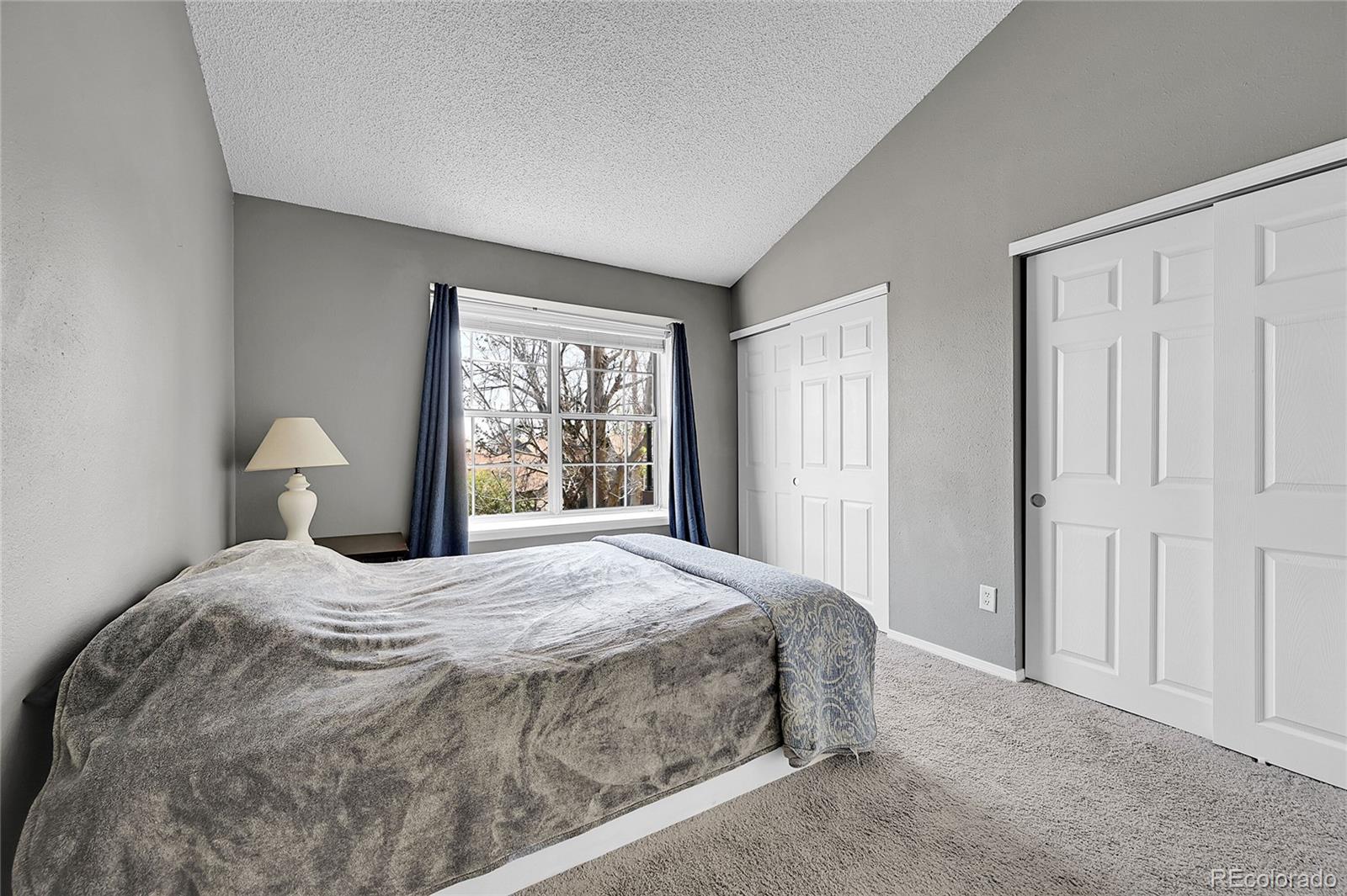 MLS Image #19 for 17336 e rice circle,aurora, Colorado