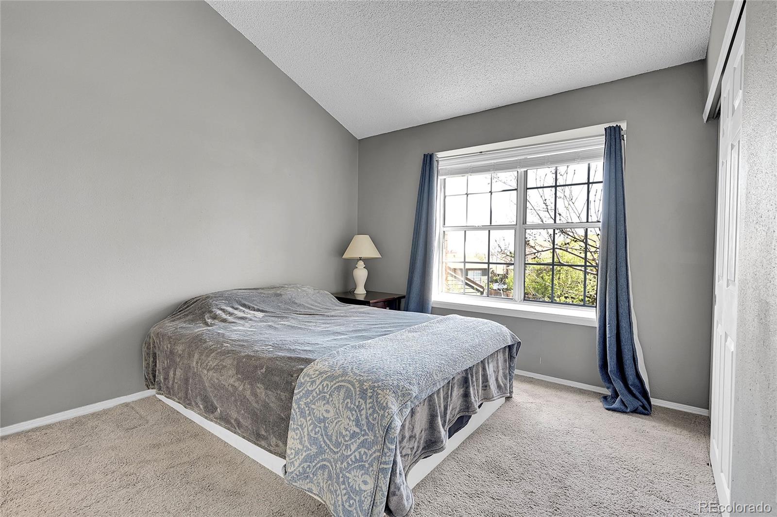 MLS Image #20 for 17336 e rice circle,aurora, Colorado