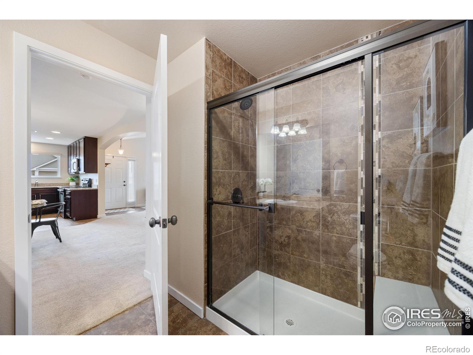MLS Image #29 for 4945  hahns peak drive,loveland, Colorado