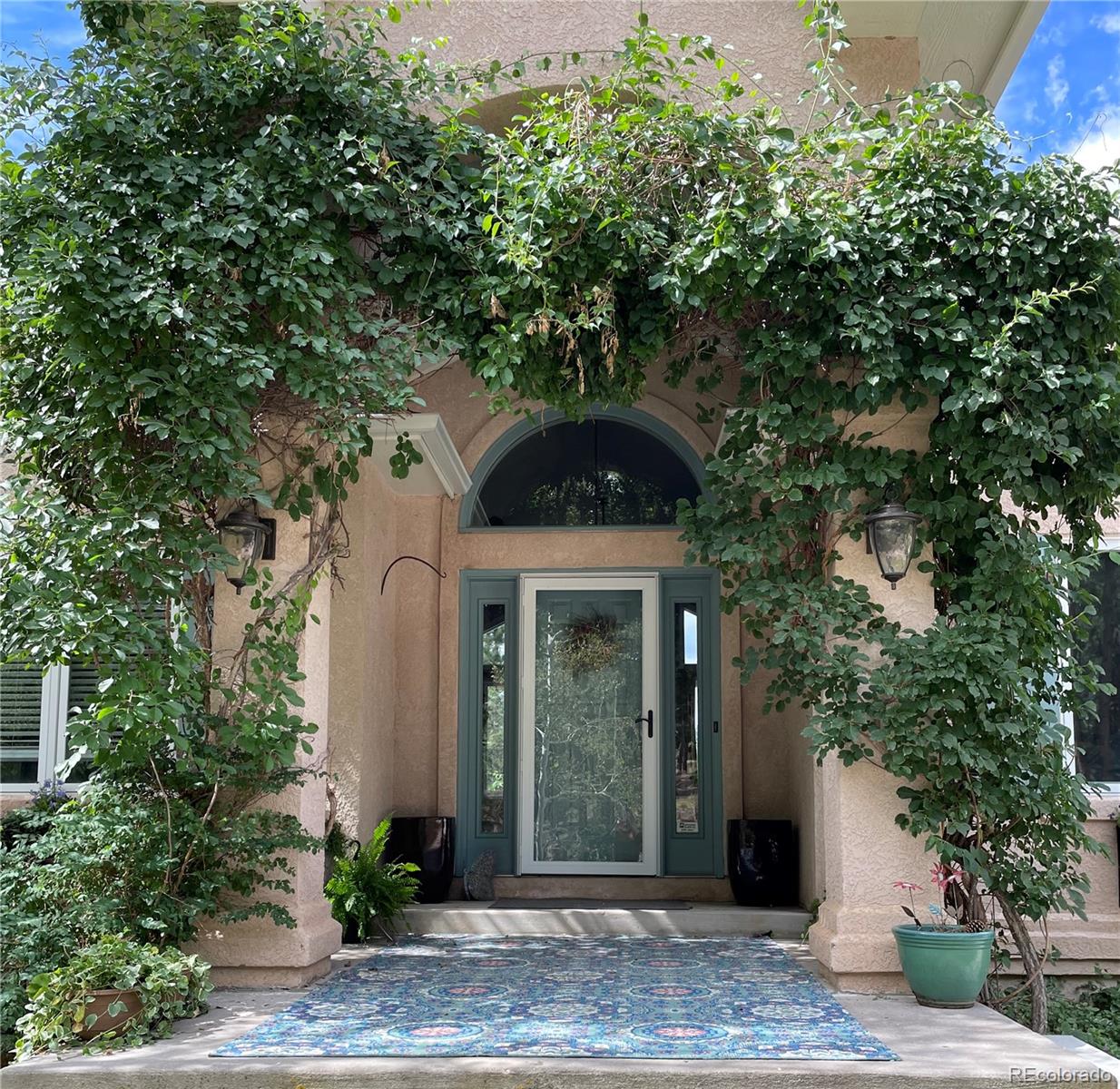 MLS Image #2 for 3170  arena road,colorado springs, Colorado