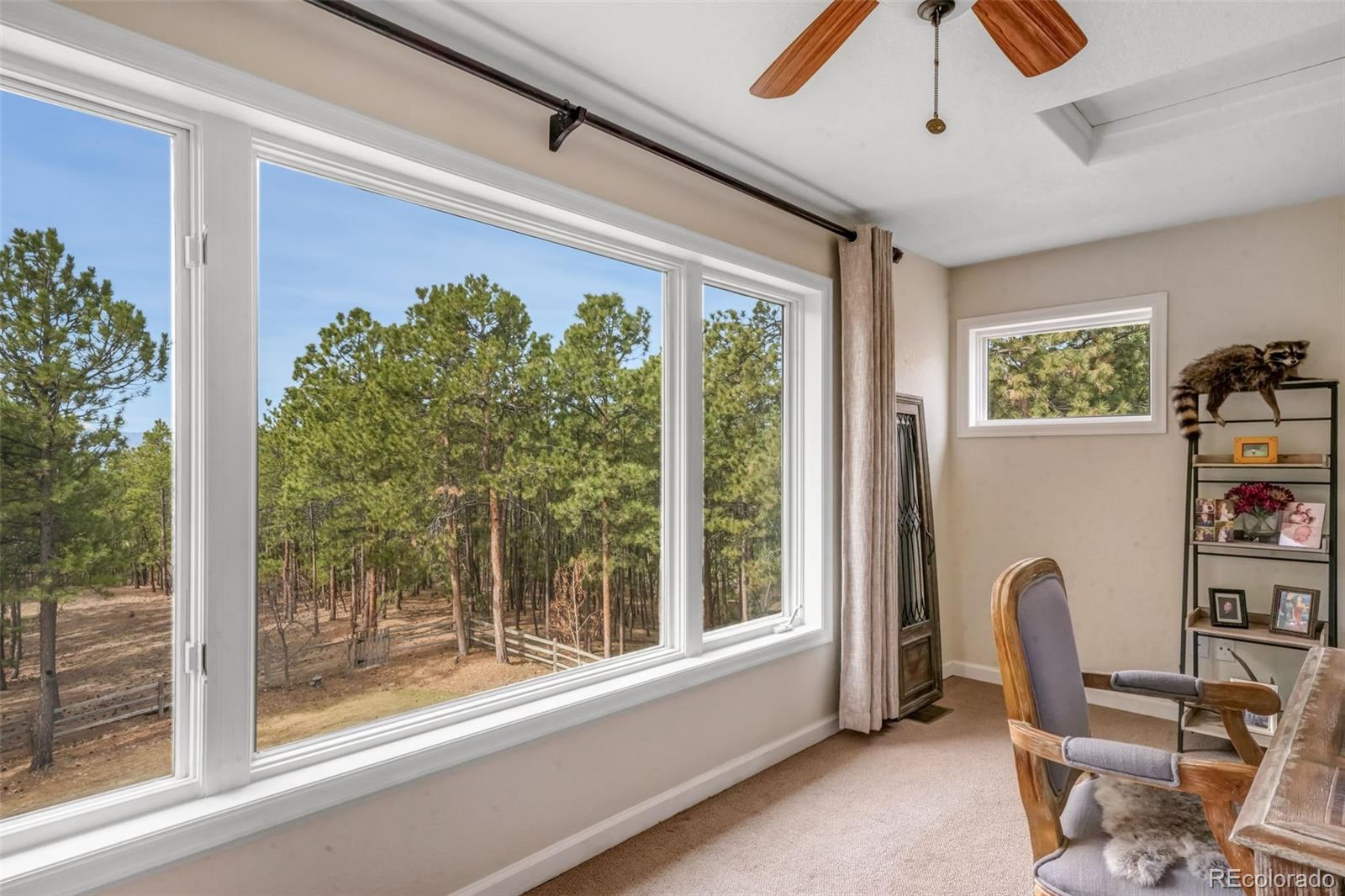 MLS Image #28 for 3170  arena road,colorado springs, Colorado