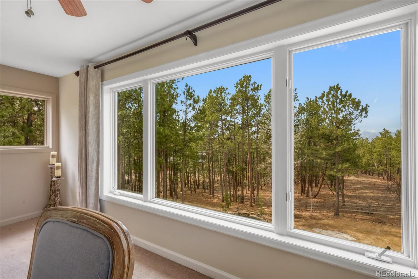 MLS Image #29 for 3170  arena road,colorado springs, Colorado