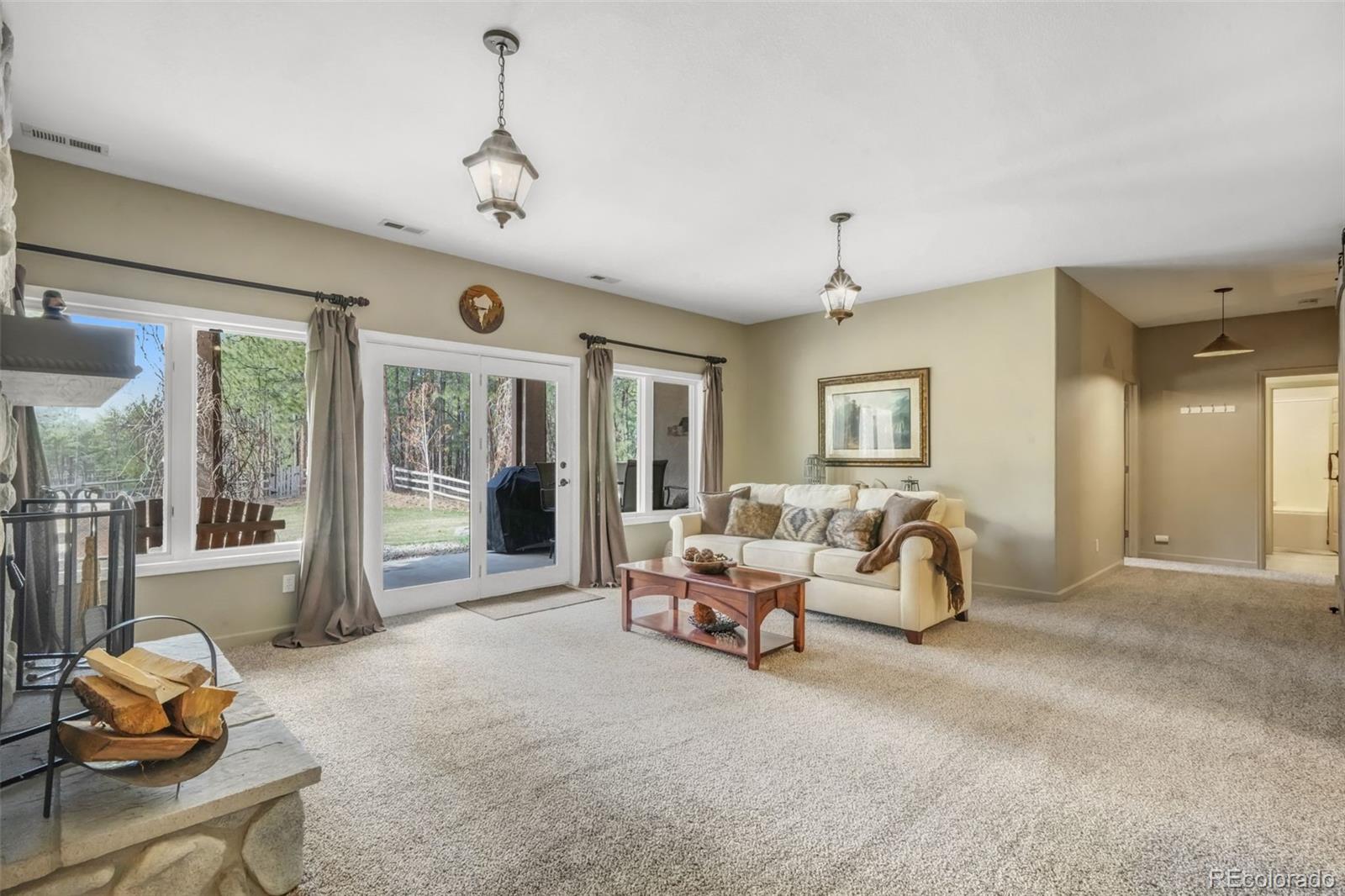 MLS Image #31 for 3170  arena road,colorado springs, Colorado