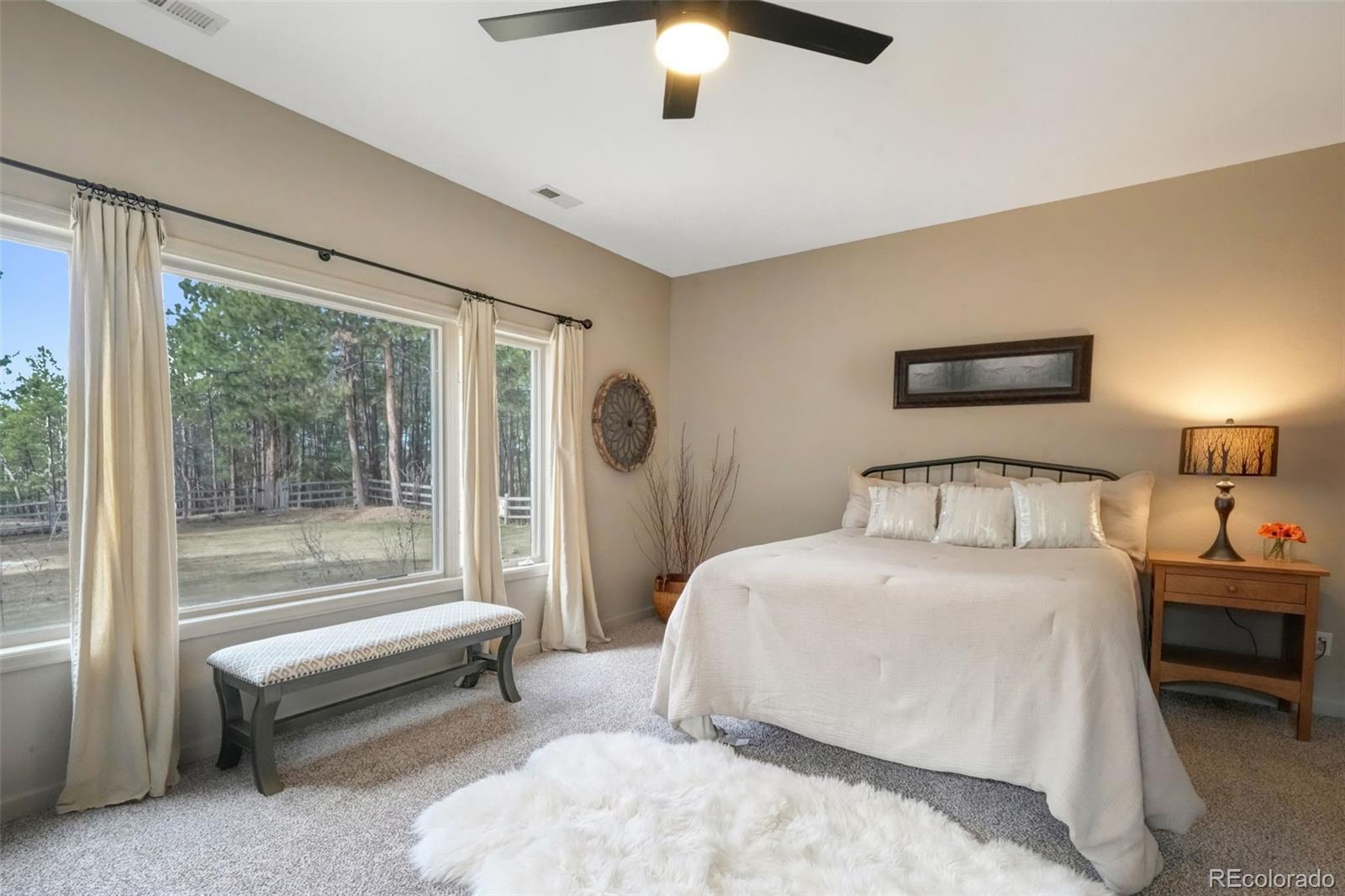 MLS Image #35 for 3170  arena road,colorado springs, Colorado