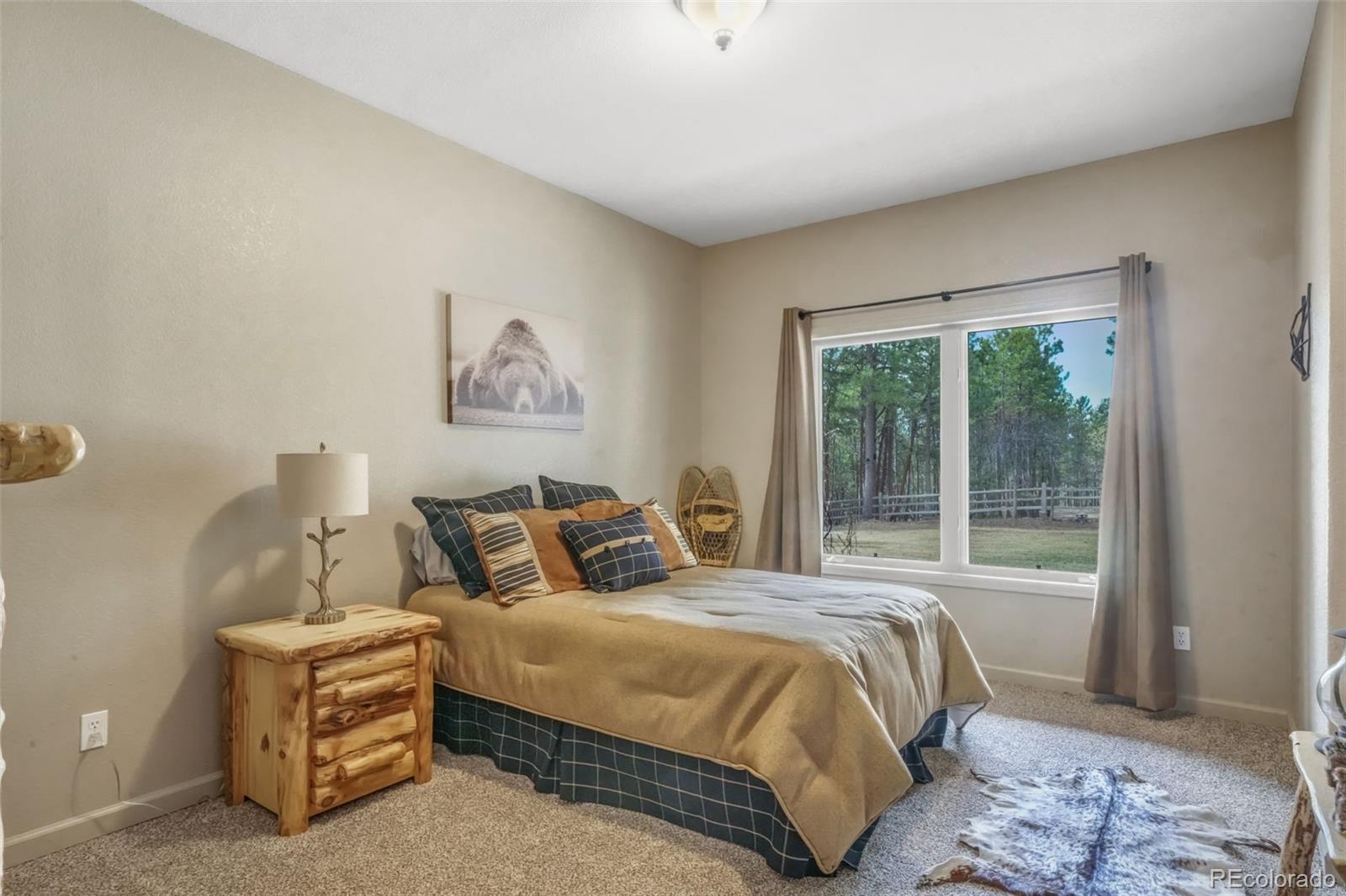 MLS Image #38 for 3170  arena road,colorado springs, Colorado
