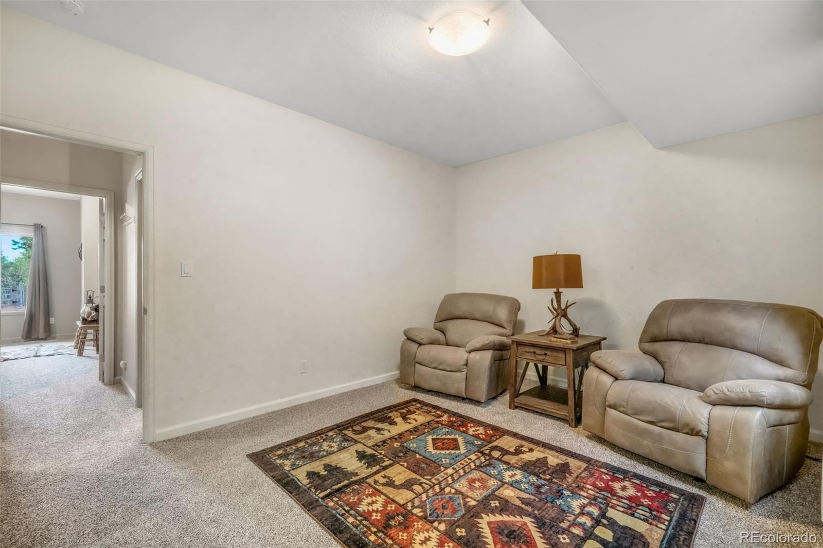 MLS Image #42 for 3170  arena road,colorado springs, Colorado