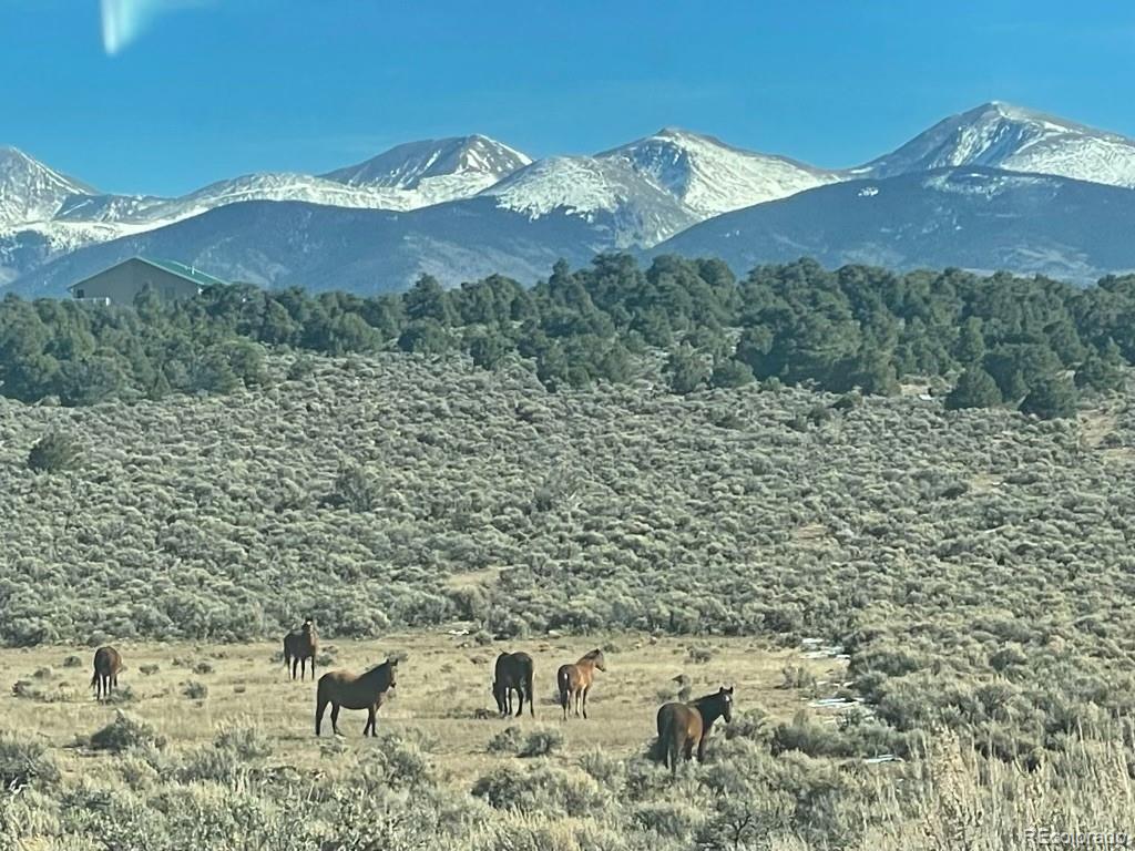MLS Image #3 for 2032  white tail road,san luis, Colorado