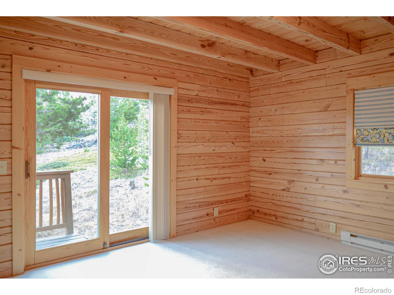 MLS Image #20 for 103  pow wow drive,red feather lakes, Colorado
