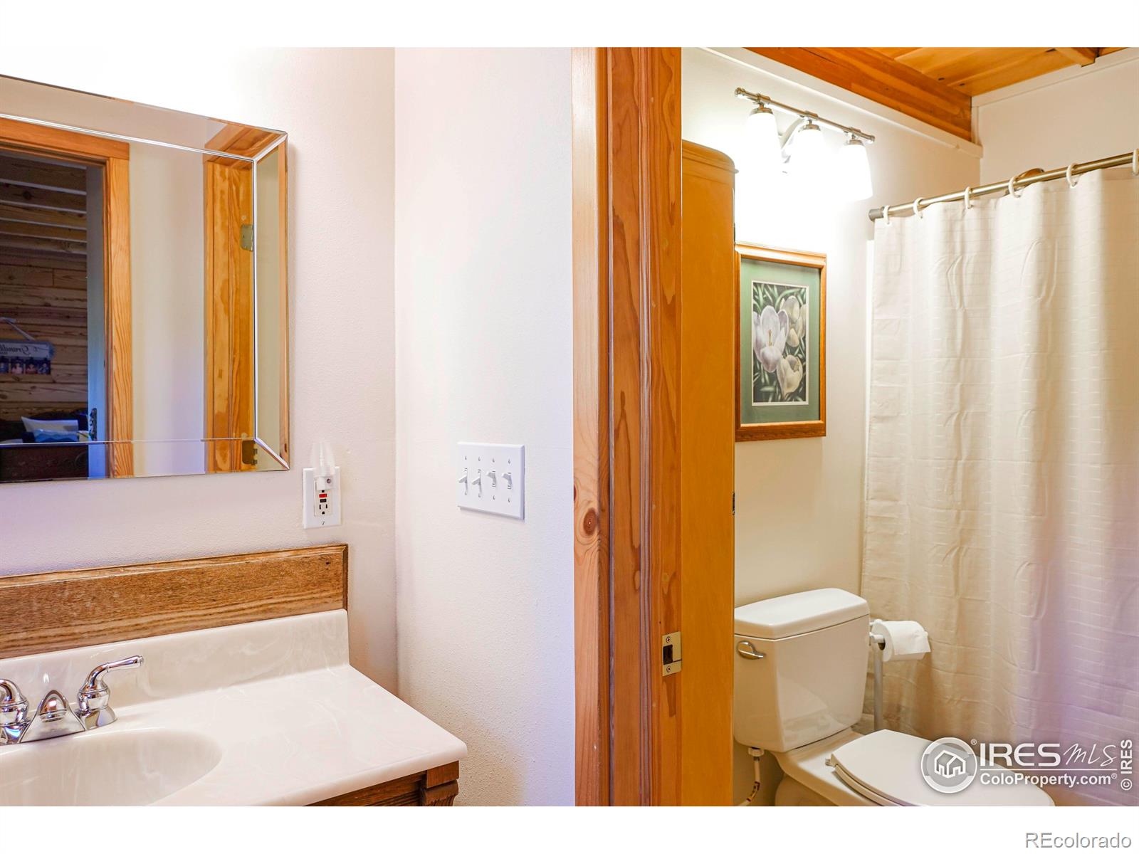 MLS Image #22 for 103  pow wow drive,red feather lakes, Colorado