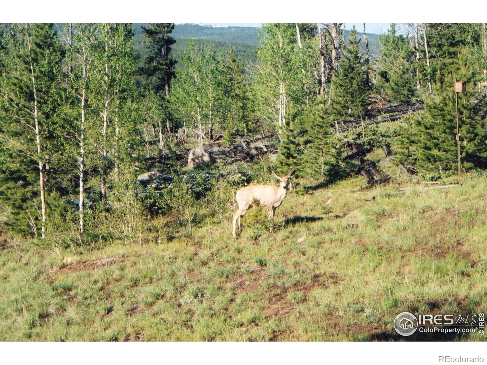 MLS Image #36 for 103  pow wow drive,red feather lakes, Colorado