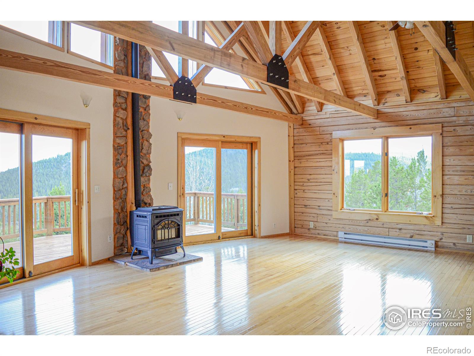 MLS Image #6 for 103  pow wow drive,red feather lakes, Colorado