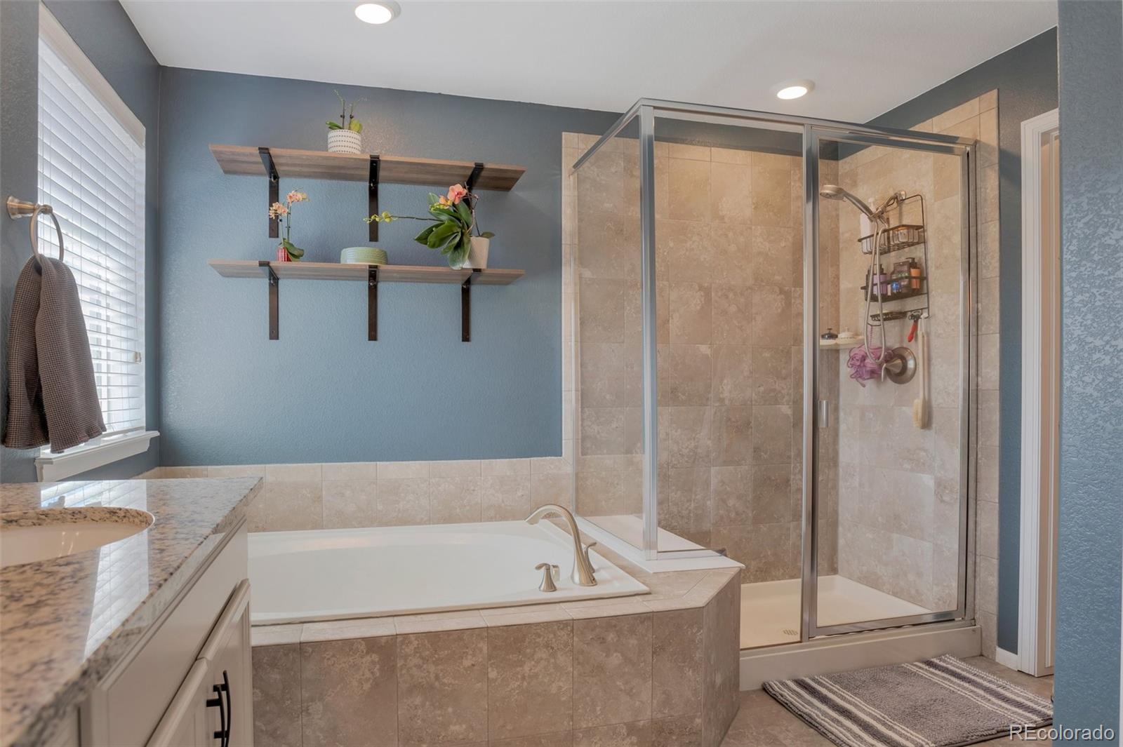 MLS Image #17 for 2538  ambience lane,castle rock, Colorado