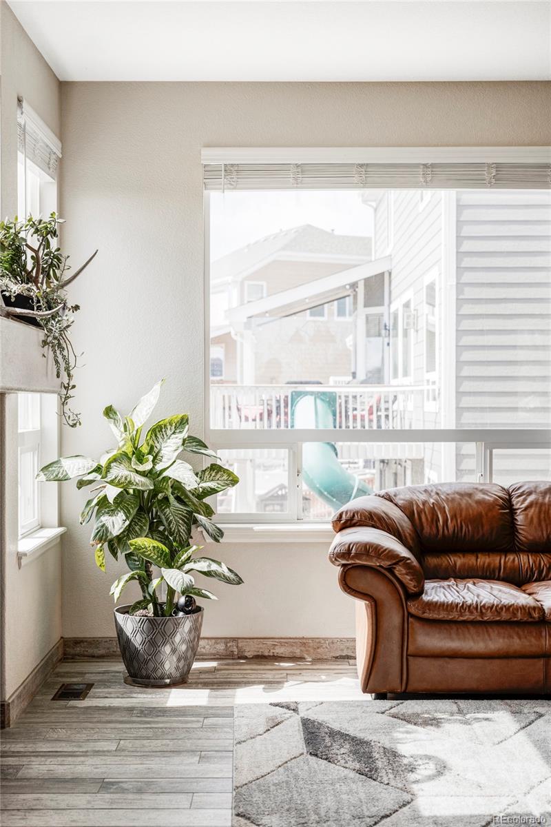 MLS Image #10 for 1280  galactic place,castle rock, Colorado