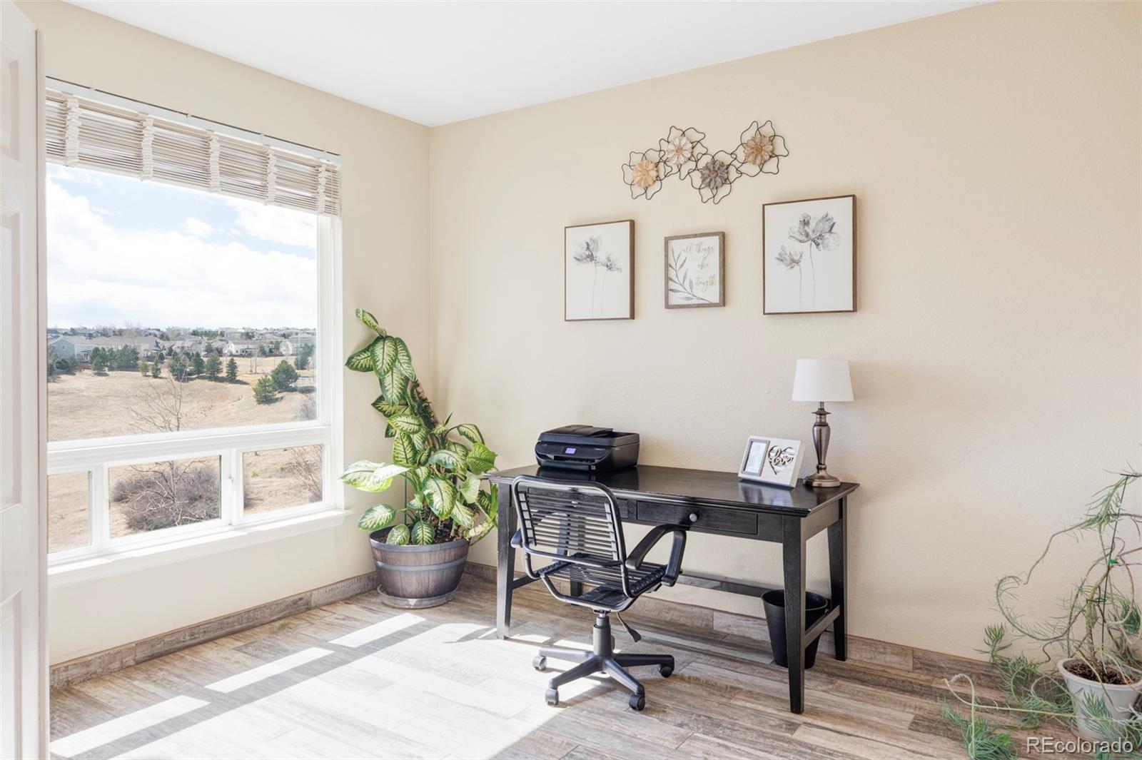 MLS Image #19 for 1280  galactic place,castle rock, Colorado