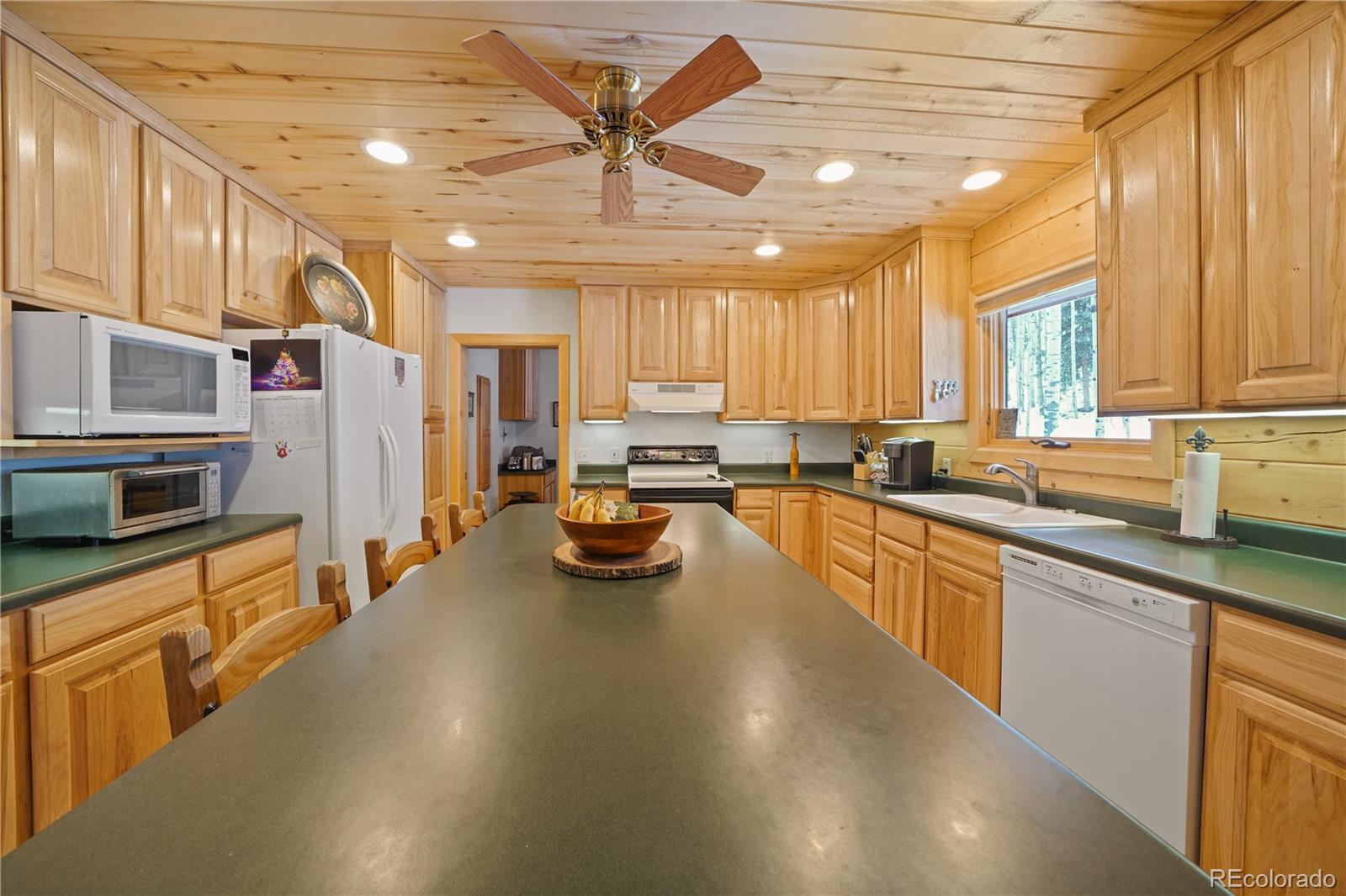 MLS Image #13 for 53  bear paw court,antonito, Colorado