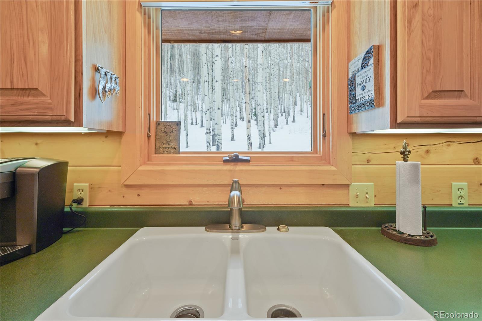 MLS Image #15 for 53  bear paw court,antonito, Colorado