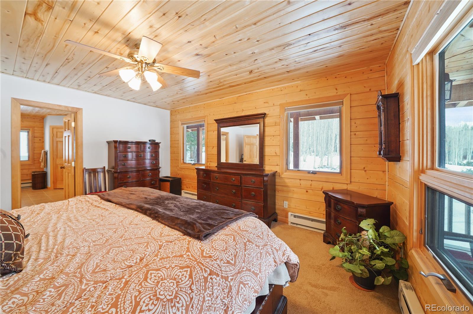 MLS Image #19 for 53  bear paw court,antonito, Colorado