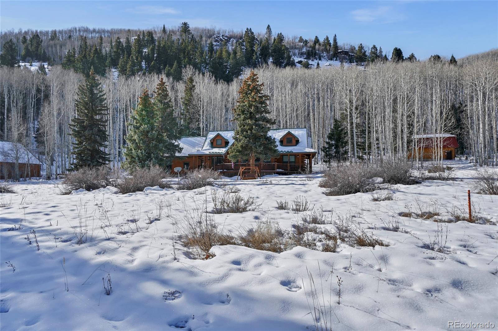 MLS Image #43 for 53  bear paw court,antonito, Colorado