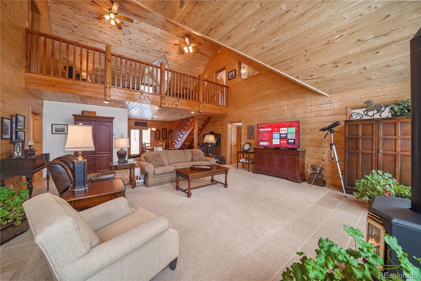 MLS Image #6 for 53  bear paw court,antonito, Colorado