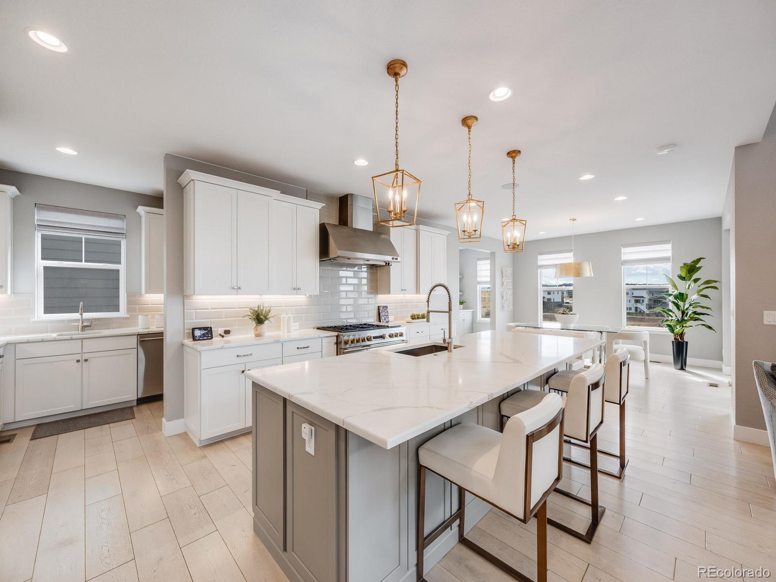 MLS Image #13 for 6923  copper sky circle,castle pines, Colorado