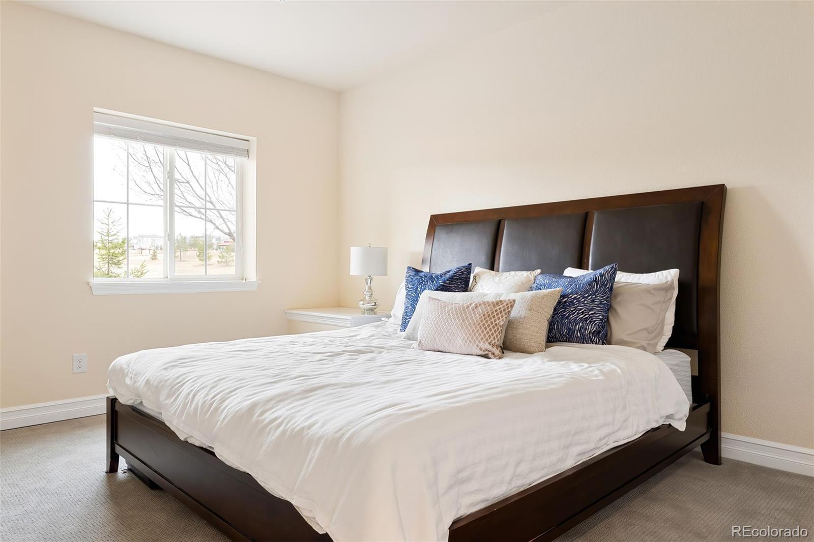 MLS Image #39 for 10100  isle street,parker, Colorado