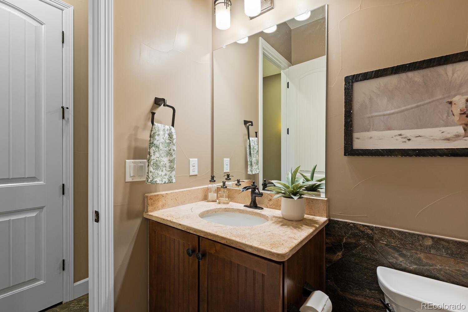 MLS Image #28 for 10660  winding pine point,highlands ranch, Colorado