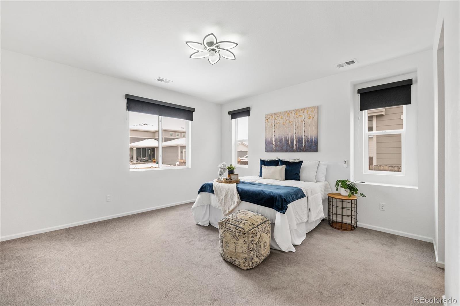 MLS Image #10 for 18129 e 99 place,commerce city, Colorado
